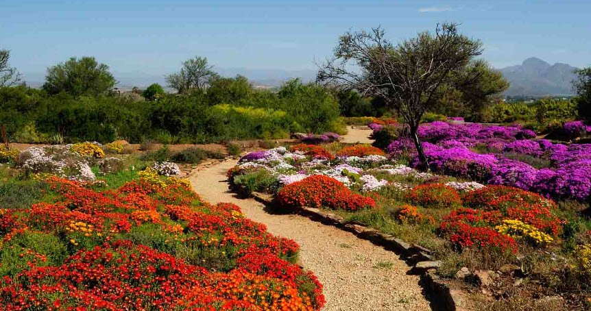 Karoo Desert National Botanical Garden, South Africa